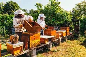 Bee Keeping1